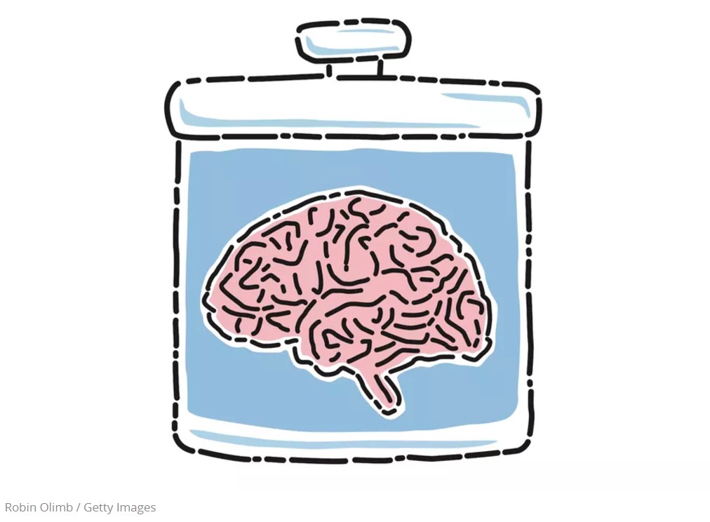 Brain in a jar 2b Robin Olimb Getty Images