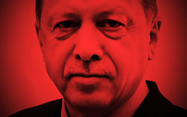 Erdogan red 1a LLLL
