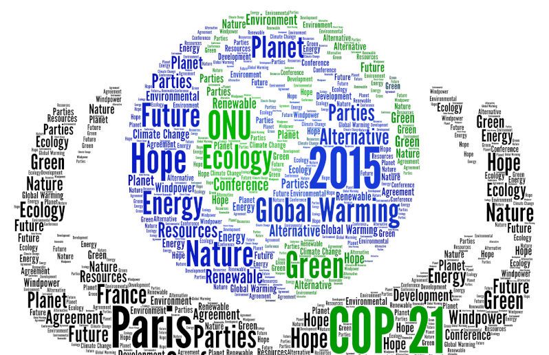 Environment: Paris 2015 generated hope, but not enough climate action ...